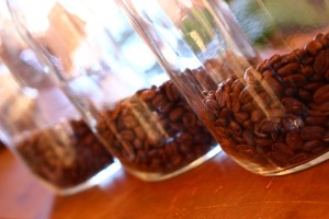 コーヒー豆 (2)