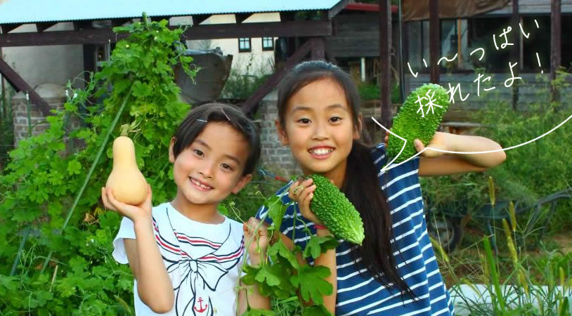 千葉県鎌ケ谷ファーム（船橋市近く）の特徴-4　手ぶらで家庭菜園