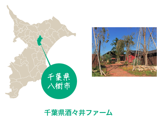 千葉県酒々井ファーム